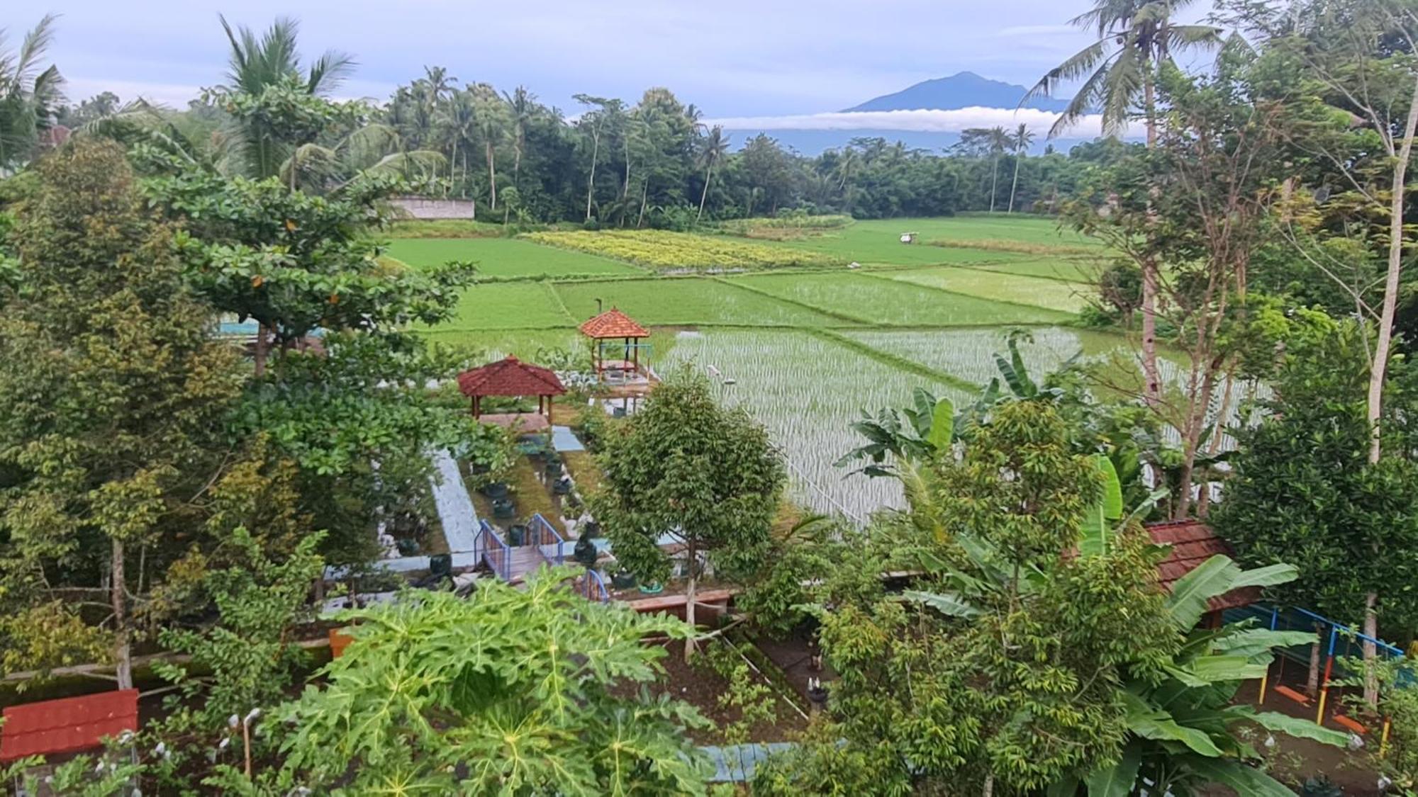 Anugrah Borobudur Magelang Ngoại thất bức ảnh